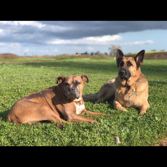 Get to know your Posher! - Picture 9 of 16